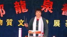 在线视频河南坠子,传承千年的民间艺术魅力
