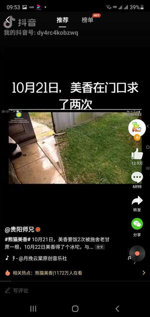 美香全部在线视频,精彩瞬间一网打尽