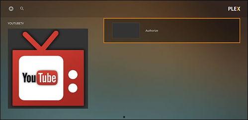 plex在线视频怎么关闭,轻松关闭Plex在线视频自动生成概述功能